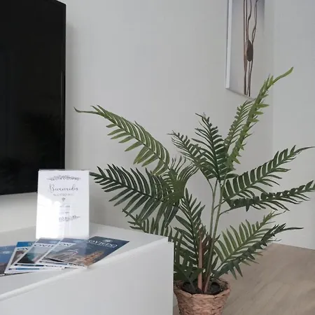 דירה La Terraza De La Vega - Ubicacion Inmejorable , Wifi , Terraza Y Parking Gratuito אוביידו