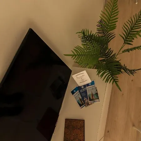 La Terraza De La Vega - Ubicacion Inmejorable , Wifi , Terraza Y Parking Gratuito Apartment *