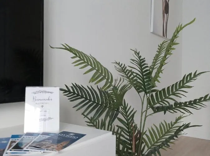 公寓 La Terraza De La Vega - Ubicacion Inmejorable , Wifi , Terraza Y Parking Gratuito 奥维耶多